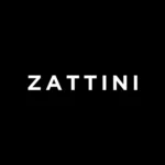Logo Zattini